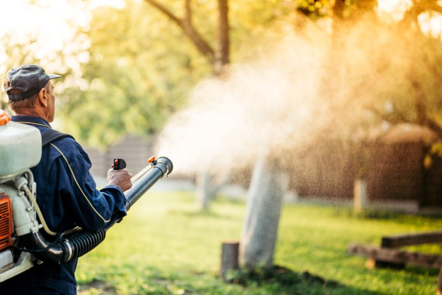 How to get rid of mosquitoes in your yard in Kalamazoo - Griffin Pest Solutions