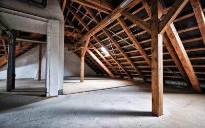 Attic in lower Michigan