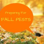 Preparing for fall pests