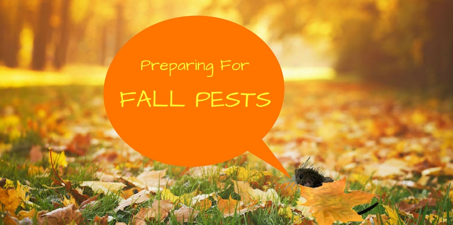 Preparing for fall pests