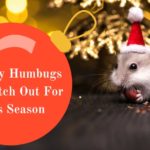 Holiday Humbugs to Watch Out For