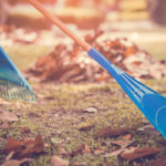How raking keeps pests away