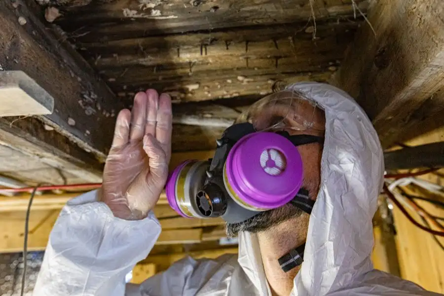 A professional inspector wearing a white hazmat suit and a purple-filtered respirator examining wooden floor joists in a dark crawlspace.