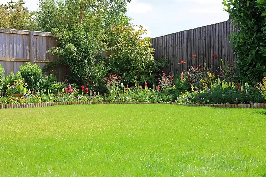 A modern backyard with freshly trimmed grass