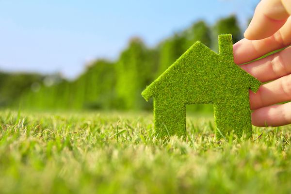 Hand holding house icon made of moss over green grass field