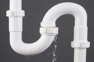 Fix plumbing leaks to prevent pest infestations