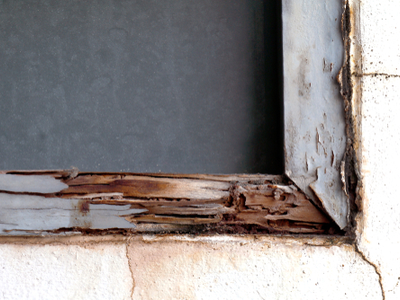 Termite damage to window sill.