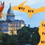 Why are termites such a problem for Michigan?