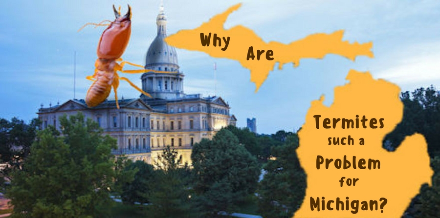 Why are termites such a problem for Michigan?