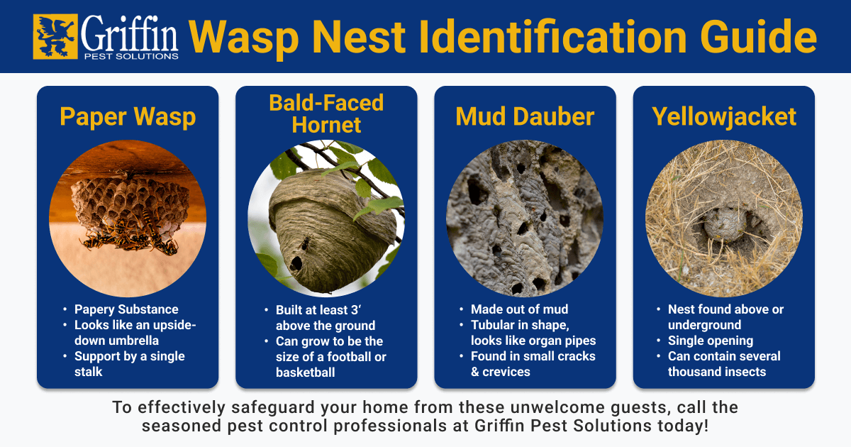Wasp Nest ID graphic
