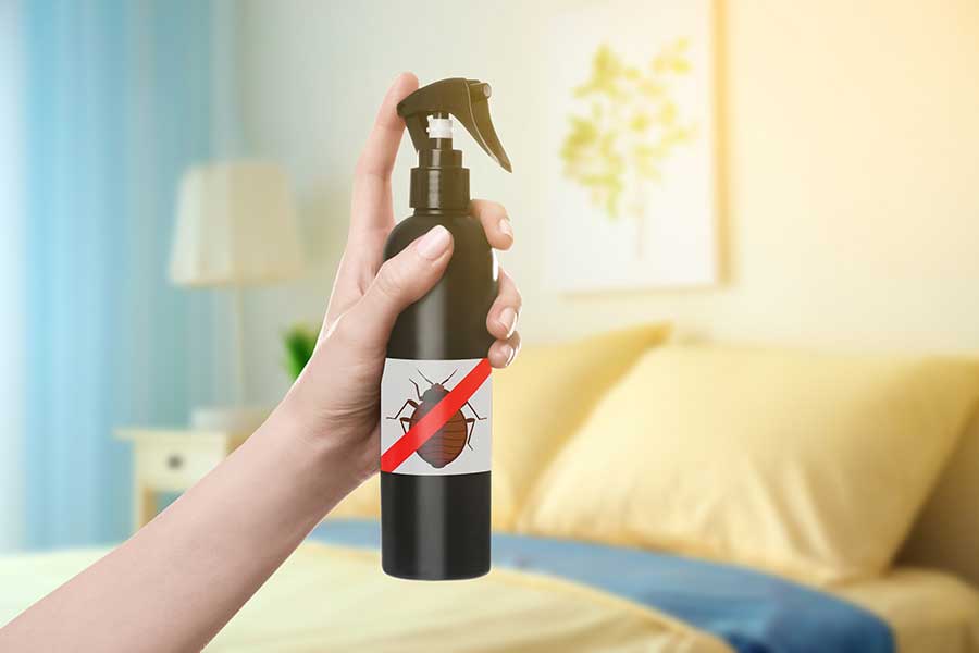 Can I Prevent Bed Bugs Naturally; Griffin Pest Solutions