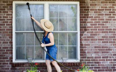 A woman spring cleaning windows for pest prevention.