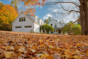 clean up your yard this fall to keep rodents out