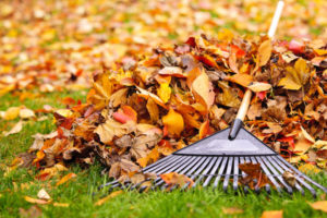 doing yard work this fall will help prevent pest infestation