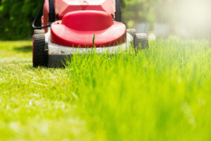 mowing your lawn will help prevent fall lawn pests