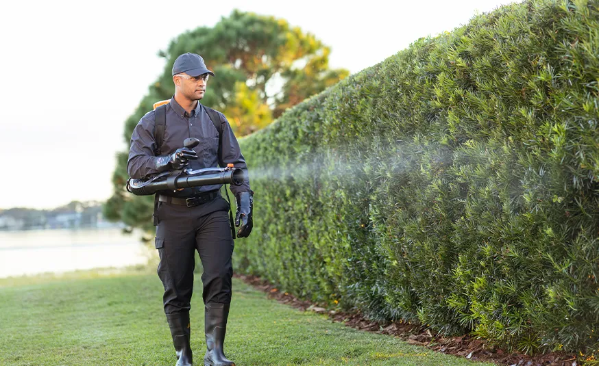 Pest control technician spraying bushes.