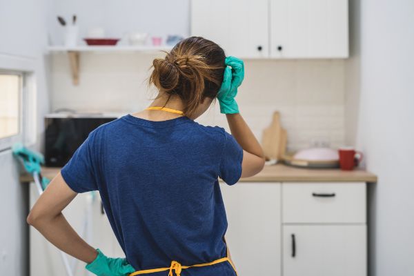 How to clean up after rodents in Kalamazoo; Griffin Pest Solutions
