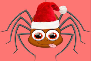 holiday spiders