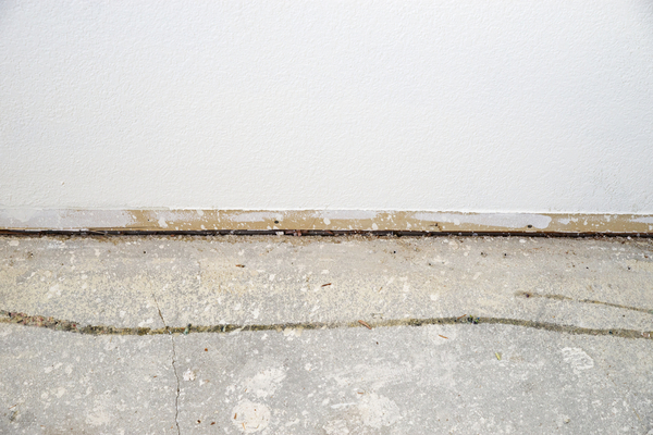A small gap between a basement's wall and its concrete floor. Mice often sneak through the space gaps like these create.