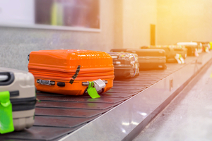 Bed bugs often hide in luggage and other commonly-transported articles