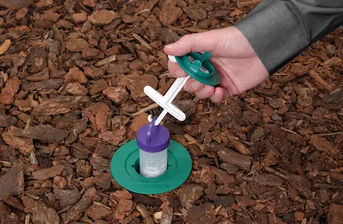 How Termite Bait  Stations Work
 in your area