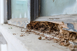 Termite damaged wood in Michigan by Griffin Pest Solutions