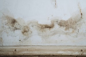 Dirty wall markings left on the walls of a home by mice