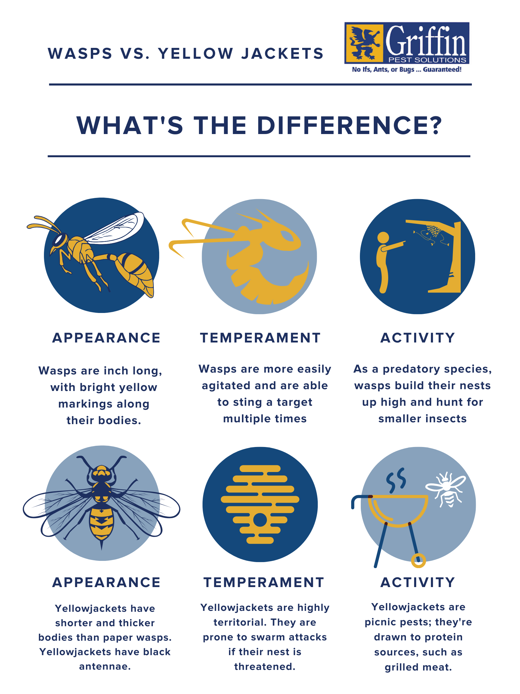 Griffin Pest Solutions' graphic shows you the difference between wasps and yellow jackets in michigan in terms of appearance, temperament, and activity