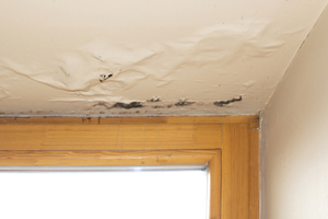 Water damage above a window frame