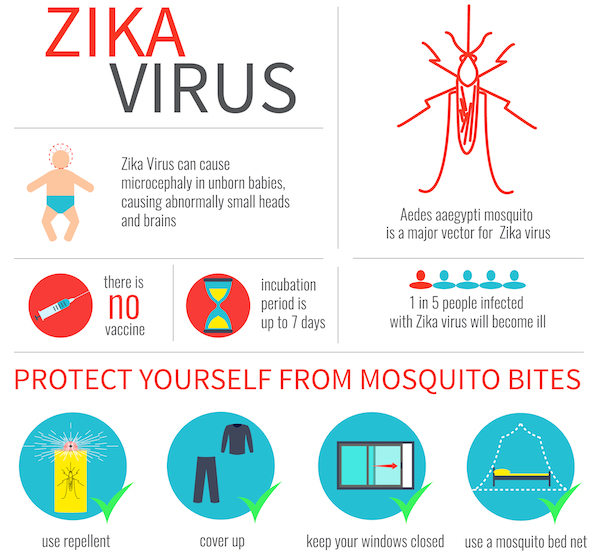 Zika informational fact sheet